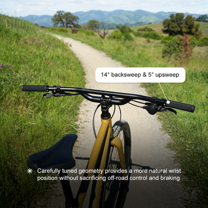 Top Shelf Flat Handlebar